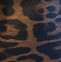 Animal print