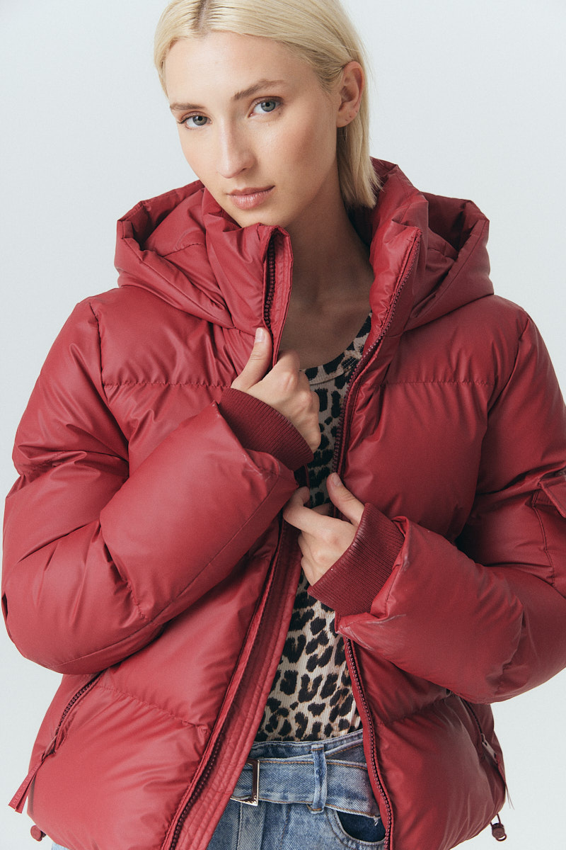 Puffer Vilna