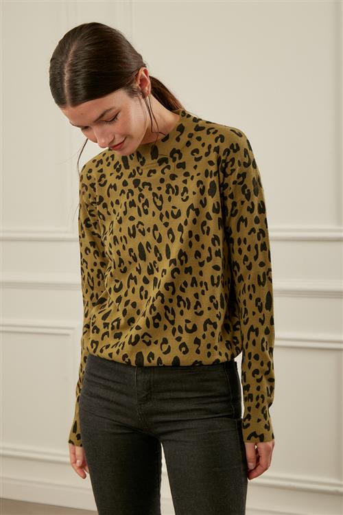 Sweater Areu
